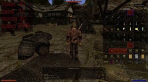 Gothic 2 ночь ворона ДВУРУЧНИКИ с нуля. Или как ими правильно махать?