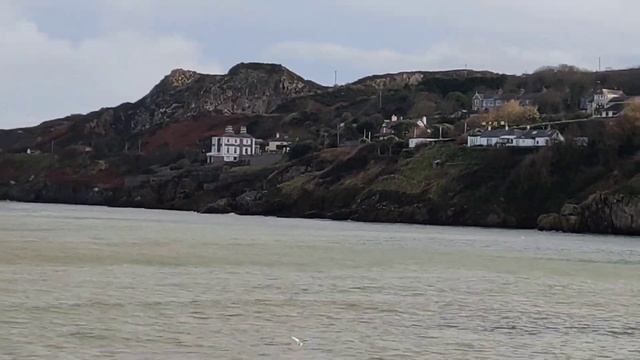 HOWTH Harbour Dublin | Must Visit place in Ireland|#IrelandVLOGS| Seals Watch| Lockdown |Hasini Epi