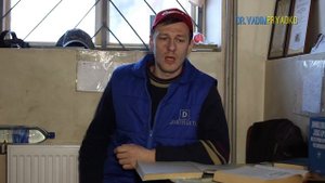 Засорение (закупорка) книжки у коровы.