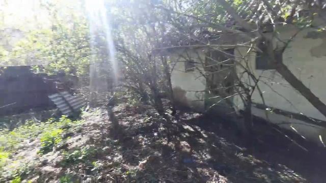 речки вымирающие село сумская область