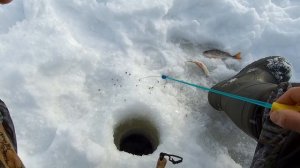 Зимняя рыбалка на чебака озеро Сунгуль