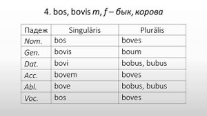 Латинский язык. Lingua Latina. Особенности существительных 3-го склонения
