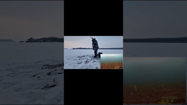 Ловля наваги на блёсны от Mr. Musurok