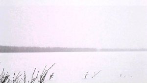 А Северный  Я по первому снегу бреду. 2015 г