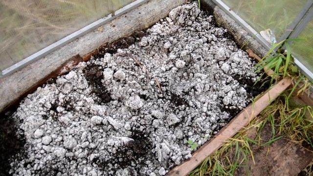 как убрать плесень в теплице. смотреть онлайн