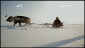 Увезу тебя я в Тундру