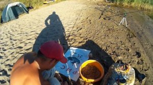 Тигровый орех при ловле леща не уступает опарышу. Рыбалка на Александровском водохранилище в август