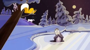 Вопросы Чевостика. Кто такие байкальские нерпы?