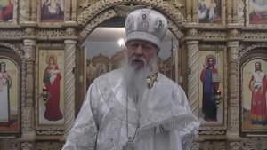 Грех - самая страшная болезнь на земле. Августин (Анисимов), епископ Городецкий и Ветлужский.
