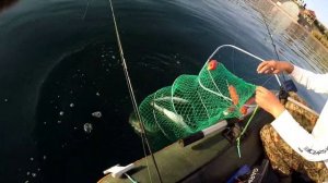 судак на спининг с берега насосные Капчагай судак на джиг на джиг с лодки Казахстан 2022 осень