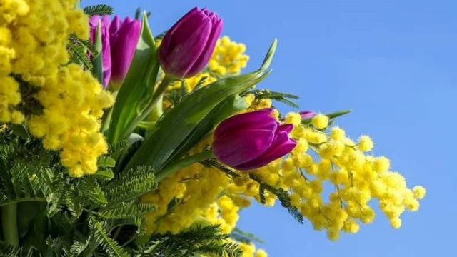 Классическая музыка для детей. Увертюра #классика #классическая_музыка #классикадлядетей
