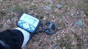 Невероятные находки и увлекательное приключение с  Minelab X-TERRA 705