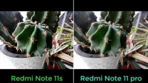 New Redmi note 11s vs Redmi note 11 pro camera shots samples