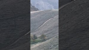 Дагестан горы, поход в в тарки, конные прогулки