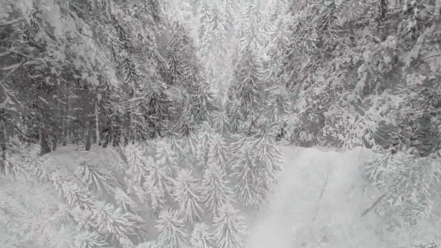 Relax music and forest in winter - just relax and have fun, rest смотреть онлайн