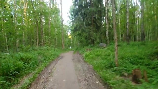 Велодорожка из ЖК Новое Сертолово в мкр  Сертолово 1