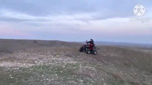 Квадроцикл FXmoto Bull 200