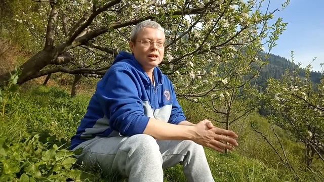 Немного о себе