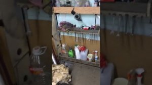 Бензонасос таета корса