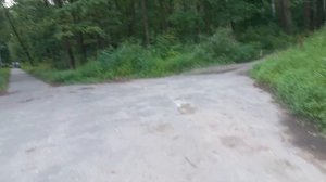 Центральный пляж в Брянске