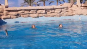Бассейн с волнами Египет Шарм эль шейх