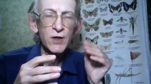 Чем и Как Кормить Птиц Зимой? Хлеб и Пшено Можно или Нет? Какой корм можно давать птицам зимой?