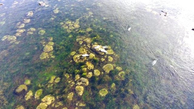 Путешествие на побережье Татарского пролива с туристическим клубом Авега смотреть онлайн