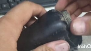 перетяжка ручки акпп на лексус
