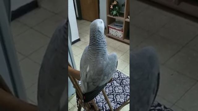 утренняя идиллия 2... смотреть онлайн