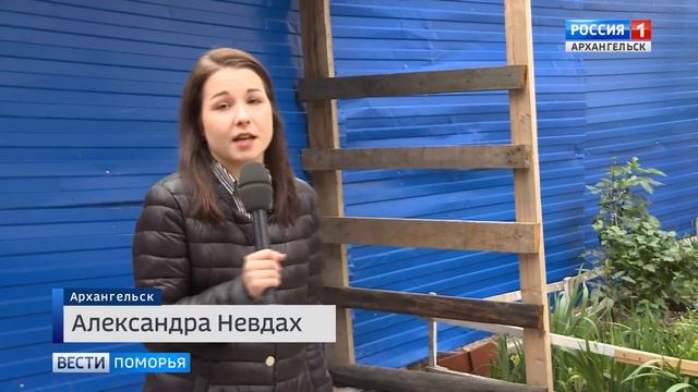 Жильцы дома на проспекте Новгородский в Архангельске против стройки многоэтажки смотреть онлайн