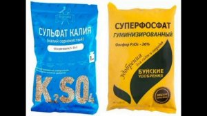 Схема подкормки земляники на весь сезон. Очень подробно и наглядно.