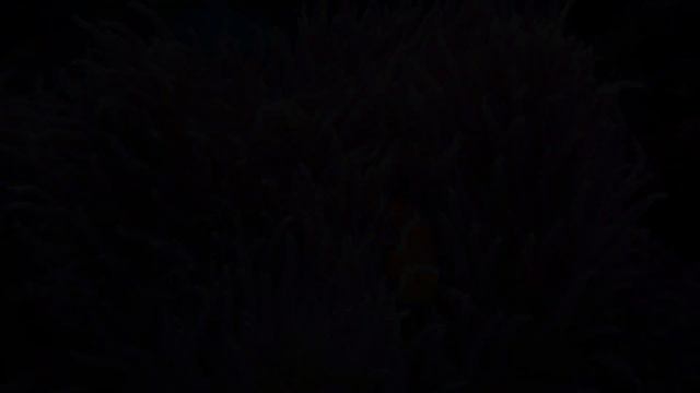 Aquarium 4K VIDEO (ULTRA HD) - Beautiful Coral Reef Fish - Sleep Relaxing Meditation Music смотреть онлайн