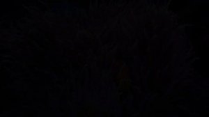 Aquarium 4K VIDEO (ULTRA HD) - Beautiful Coral Reef Fish - Sleep Relaxing Meditation Music