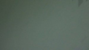 Электрический лифт (г. Королев), V=1 м-с, г-п 320 кг (67)