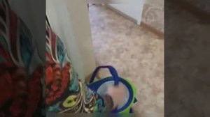 Турбо-швабра