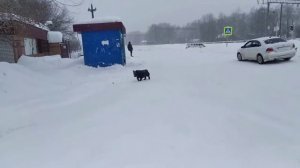 Станция Киселиха, поселок Железнодорожный. Борский район Нижегородская область. 26 февраля 2021 год