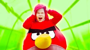 Erik turned into an Angry Birds