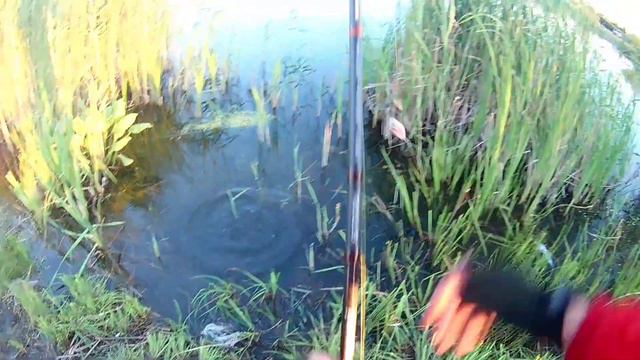 Ловля мелкого окуня. +подводная съемка смотреть онлайн