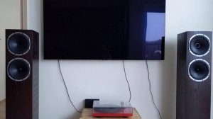 fyne audio f502 / City and Colour