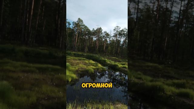 Благодать