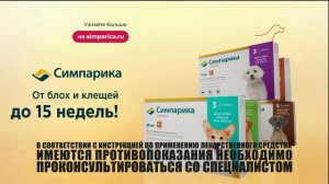 Симпарика - таблетки от блох и клещей для собак