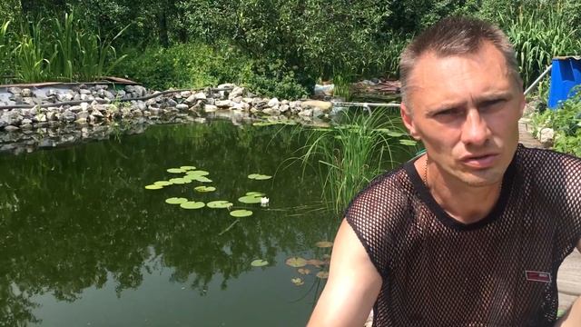 Свой пруд на даче. Жара погубила все форель смотреть онлайн