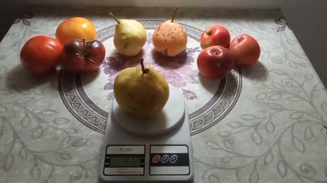 Груша памяти Яковлева