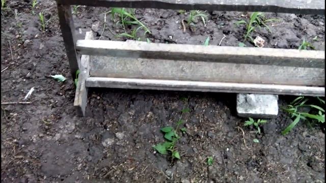 РАСТИМ ВМЕСТЕ... МУЛАРДОВ// Ч.4 ПЕРЕСЕЛЕНИЕ УТЯТ В ЛЕТНИЙ ВОЛЬЕР смотреть онлайн