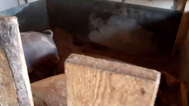 Обзор нашего участка на март. Делаем туалет, будку для собак и так далее... смотреть онлайн