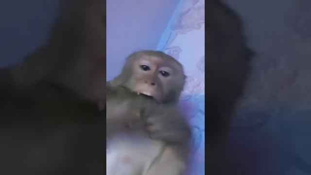 1000000997.mp4 смотреть онлайн