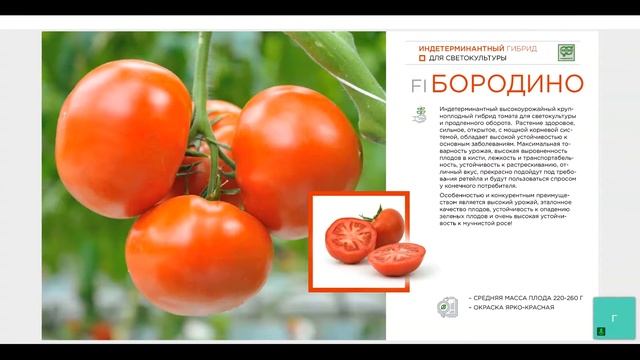 ? Перспективные гибриды томата и огурца для светокультуры. Профессиональные семена для теплиц