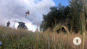 Учусь летать на FPV c GOPRO