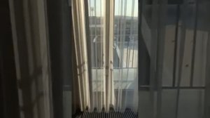 Чечня Отель 4* "ЭДЕЛЬВЕЙС" и номер в центре Грозного, посещение фитнес-залов и бассейна БЕСПЛАТНО!