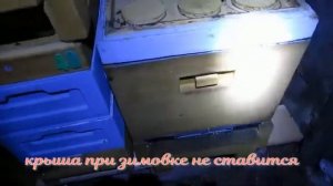ульи ППУ и ППС на пасеке -  часть 1 - зимовка пчел в зимовнике, как сделана вентиляция в улье